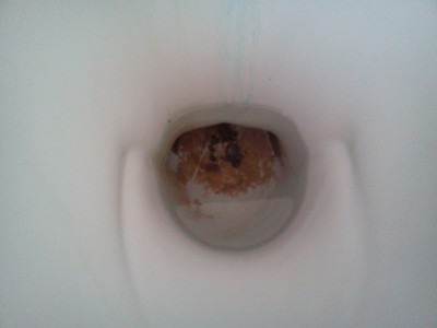 Comment détartrer la cuvette des toilettes